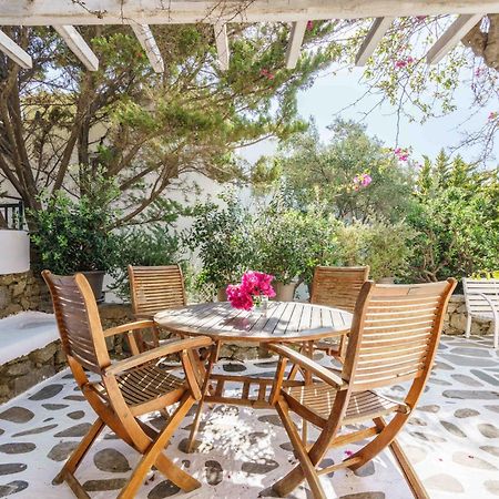 Dominique & Carlos Place Mykonos Town Dış mekan fotoğraf