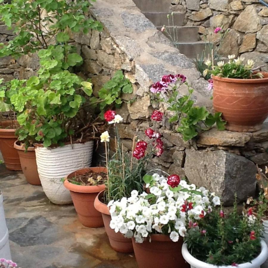 Dominique & Carlos Place Mykonos Town Dış mekan fotoğraf